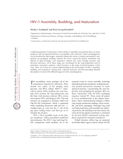 HIV-1 Assembly, Budding, and Maturation