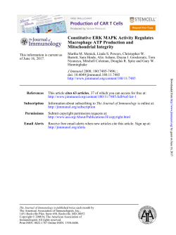 Mitochondrial Integrity Macrophage ATP Production and Constitutive