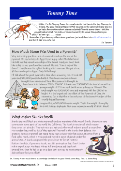 Page 9 - Nature`s Web