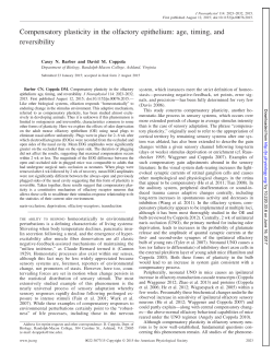 Compensatory plasticity in the olfactory epithelium: age, timing, and