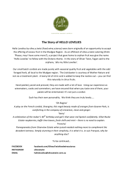 The Story of HELLO LOVELIES