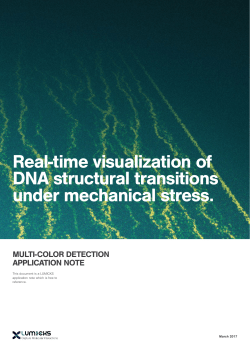Real-time visualization of DNA structural transitions under
