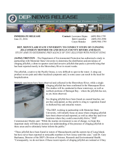 IMMEDIATE RELEASE Contact: Lawrence Hajna (609) 984