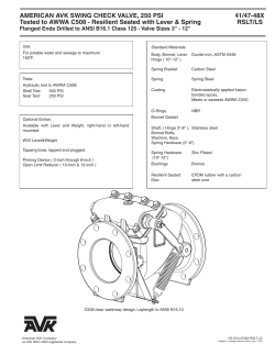 AMERICAN AVK SWING CHECK VALVE, 250 PSI 41/47