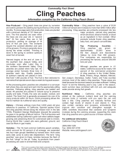 Cling Peaches - California Foundation for Agriculture in the Classroom