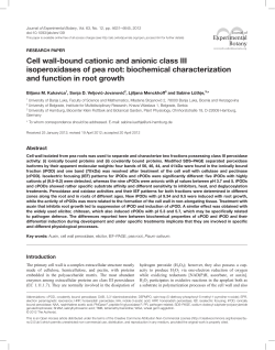 Cell wall-bound cationic and anionic class III isoperoxidases of pea