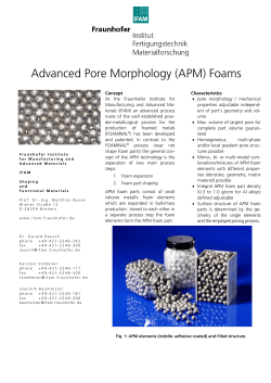 Einlageblatt APM Schaum english