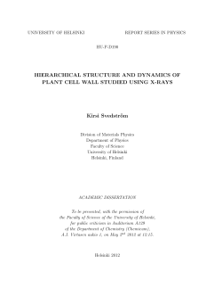 Hierarchical structure and dynamics of plant cell wall studied