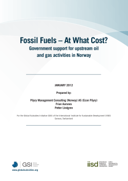 Fossil Fuels &ndash; At What Cost? Government support for upstream oil