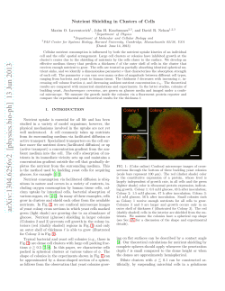 Nutrient Shielding in Clusters of Cells