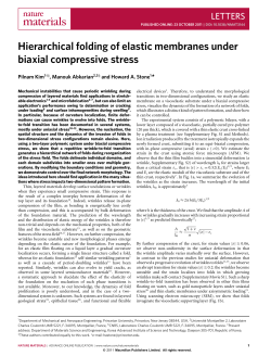 Hierarchical folding of elastic membranes under biaxial compressive