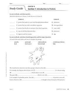 ch 19 study guides