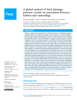 A global analysis of bird plumage patterns reveals no