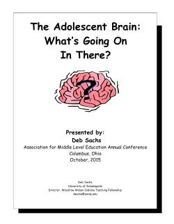 The Adolescent Brain: What`s Going On In There?