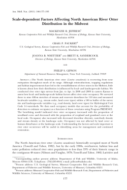 Scale-dependent Factors Affecting North American River Otter