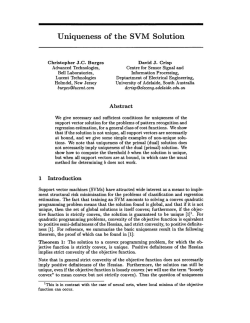 Uniqueness of the SVM Solution