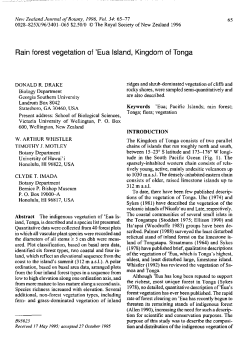 Rain forest vegetation of `Eua Island, Kingdom of Tonga