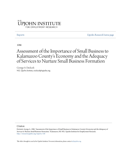 Assessment of the Importance of Small Business