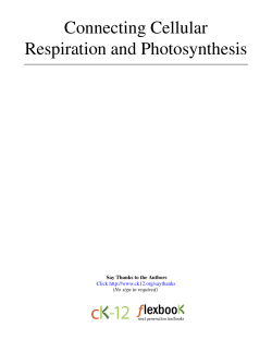 Connecting Cellular Respiration and Photosynthesis