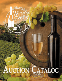 2017 winelover`s auction