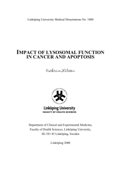 IMPACT OF LYSOSOMAL FUNCTION IN CANCER AND APOPTOSIS