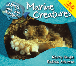 an E-Book Sample. - Newbridge Educational Publishing