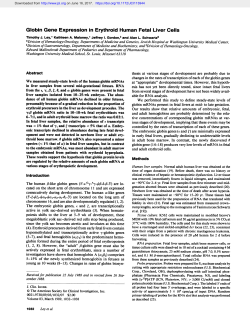 Globin Gene Expression in Erythroid Human Fetal Liver Cells