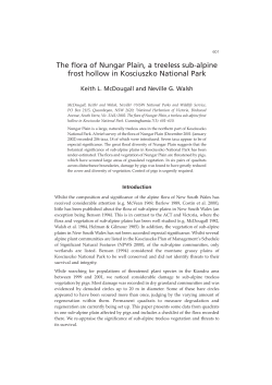 The flora of Nungar Plain, a treeless sub