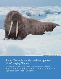 Pacific Walrus Protection and Management in a Changing Climate