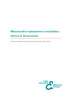 Mitochondria replacement consultation: Advice to Government