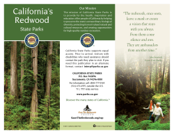 California`s Redwood - Save the Redwoods League