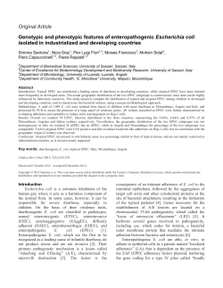 Original Article Genotypic and phenotypic features of