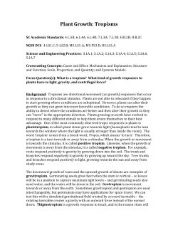 Plant tropisms - Lisa Pike, Associate Professor of Biology, Francis
