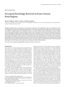 Perceptual Knowledge Retrieval Activates Sensory Brain Regions