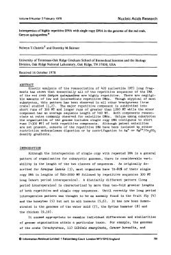 Interspersion of highly repetitive DNA with single copy DNA in the