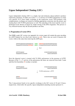Ligase Independent Cloning (LIC)