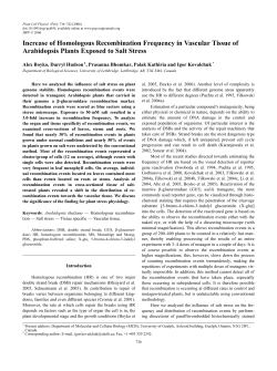 Increase of Homologous Recombination Frequency in Vascular