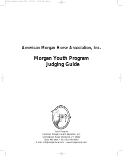 Morgan Youth Program Judging Guide