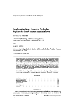 Snaileating frogs from the Ethiopian highlands: a