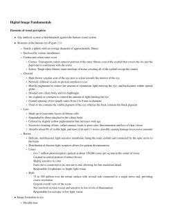 Digital Image Fundamentals - Mathematics and Computer Science