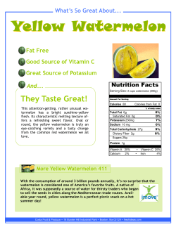 imove_fruit_Yellow Watermelon