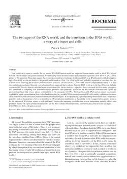 The two ages of the RNA world, and the transition to the DNA world