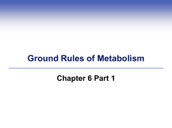 Energy - Del Mar College