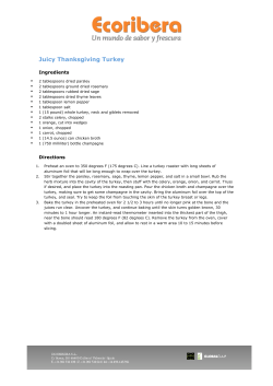 Juicy Thanksgiving Turkey