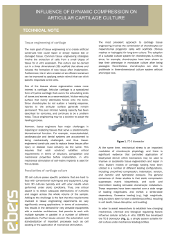 influence of dynamic compression on articular cartilage culture