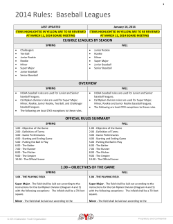2014 Rules: Baseball Leagues