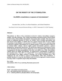 ON THE RIGIDITY OF THE CYTOSKELETON: Are MAPs