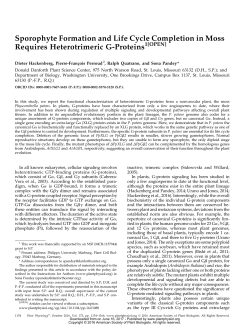 Sporophyte Formation and Life Cycle Completion in Moss Requires