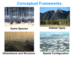 Conceptual Frameworks