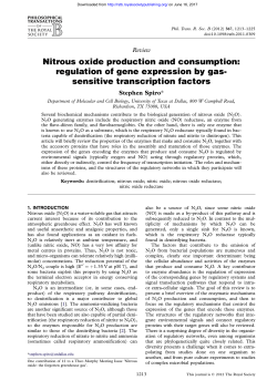 Nitrous oxide production and consumption
